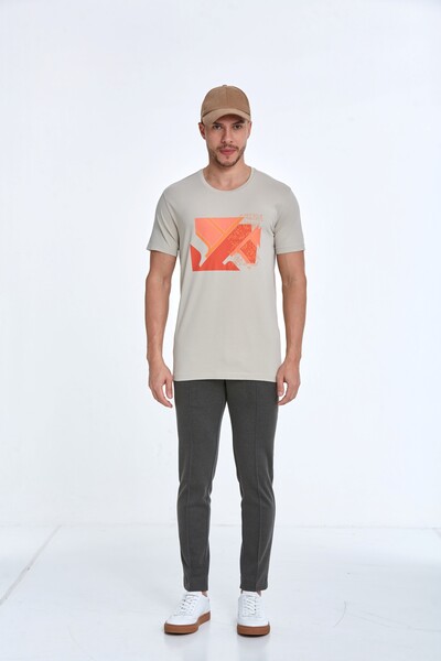Caleb Printed Men's T-Shirt Stone - 2