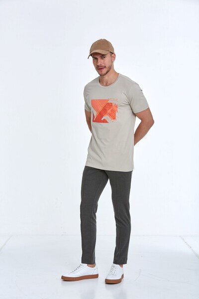 Caleb Printed Men's T-Shirt Stone - 4