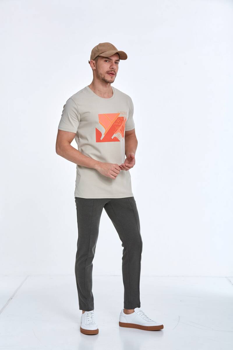 Caleb Printed Men's T-Shirt Stone - 3