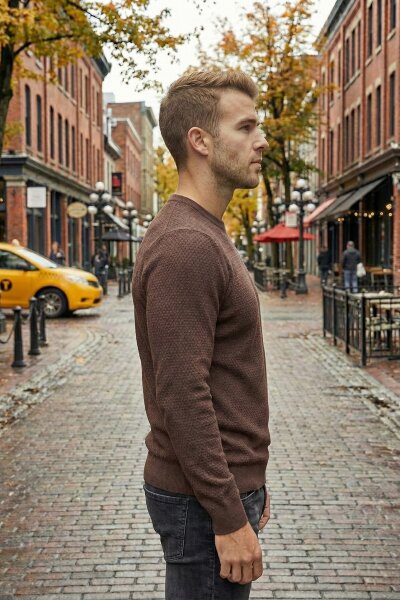 Daniel Crew Neck Men's Knitwear Sweater Brown - 6