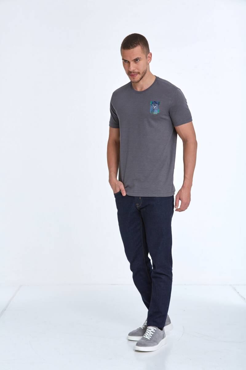 Elly Printed Men's T-Shirt Anthracite - 5