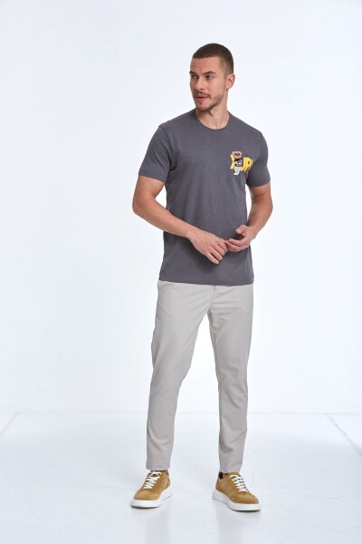 Enara Printed Men's T-Shirt Anthracite - 3