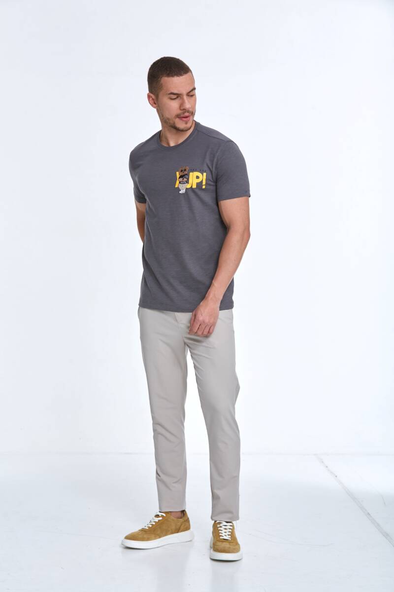 Enara Printed Men's T-Shirt Anthracite - 4