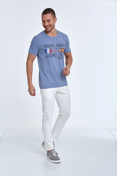 Lotus Printed Men's T-Shirt Gray - 2