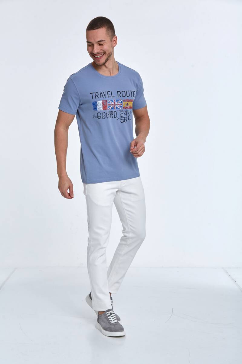 Lotus Printed Men's T-Shirt Gray - 2