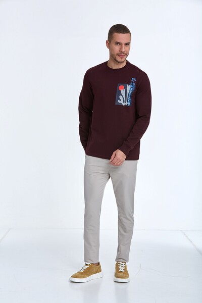 Pattern Bisiklet Yaka Erkek Sweatshirt Bordo - 2