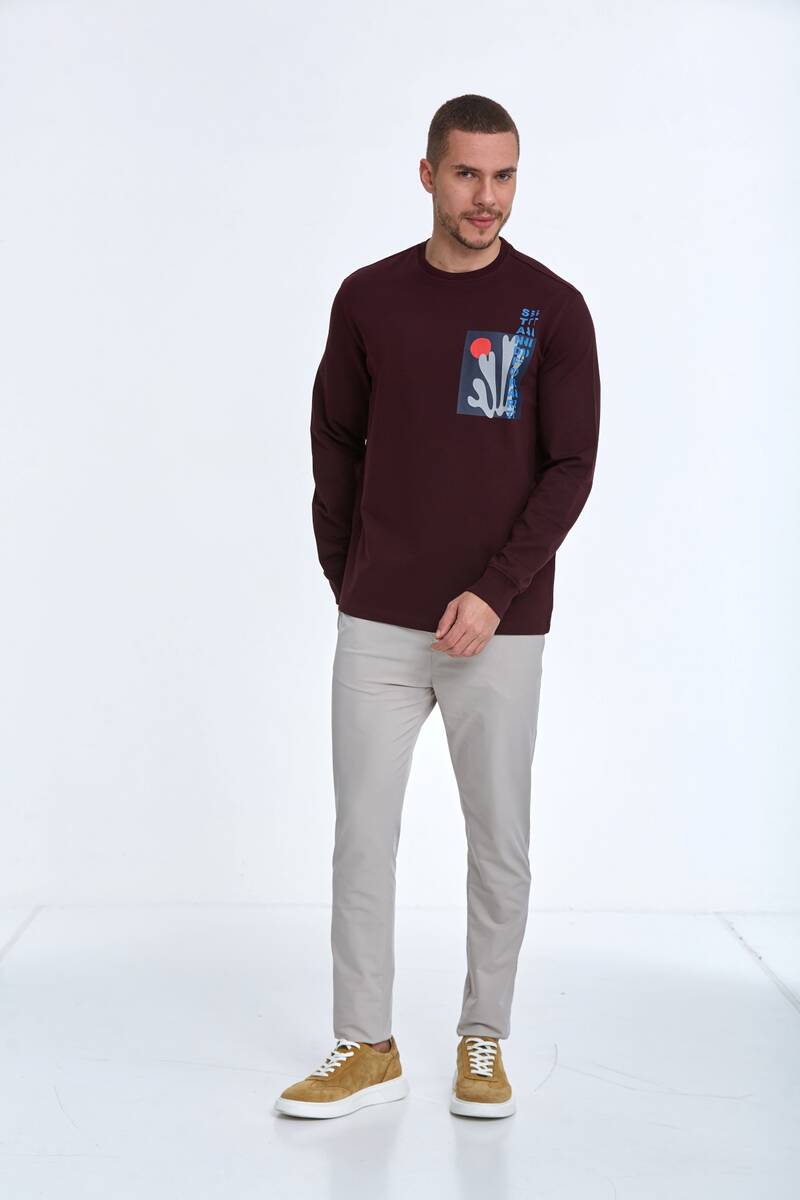 Pattern Bisiklet Yaka Erkek Sweatshirt Bordo - 2