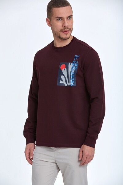 Pattern Bisiklet Yaka Erkek Sweatshirt Bordo - 1