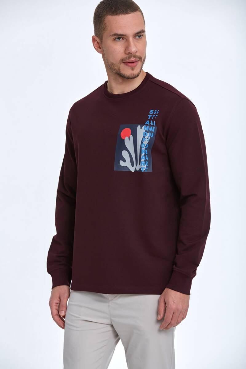 Pattern Bisiklet Yaka Erkek Sweatshirt Bordo - 1