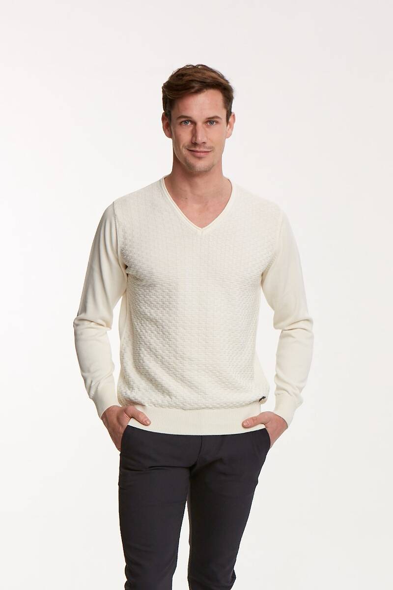 Patterned Coated V Neck Cotton Men's Knitwear Sweater