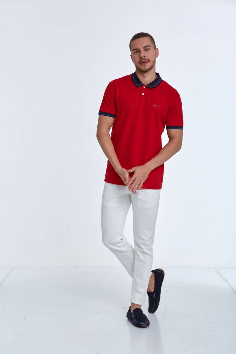Patterned Collar Polo Neck Cotton T-Shirt