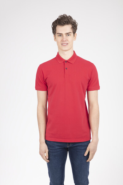 V Embroidered Polo Neck Men's T-Shirt - Thumbnail